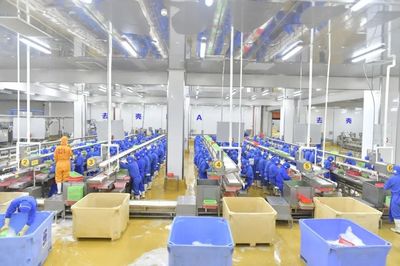 預制菜飄香！湛江企業(yè)搶抓“雙循環(huán)”萬億市場機遇